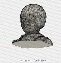 Laden Sie das Bild in den Galerie-Viewer, Pilotenkopf (stl-Datei) Best.-Nr.314digital SG Modellbau Stefan Graupner