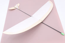 Laden Sie das Bild in den Galerie-Viewer, F1 N Saalflugmodell Best.-Nr. 4040 SG Modellbau Stefan Graupner KI Kirchheim unter Teck